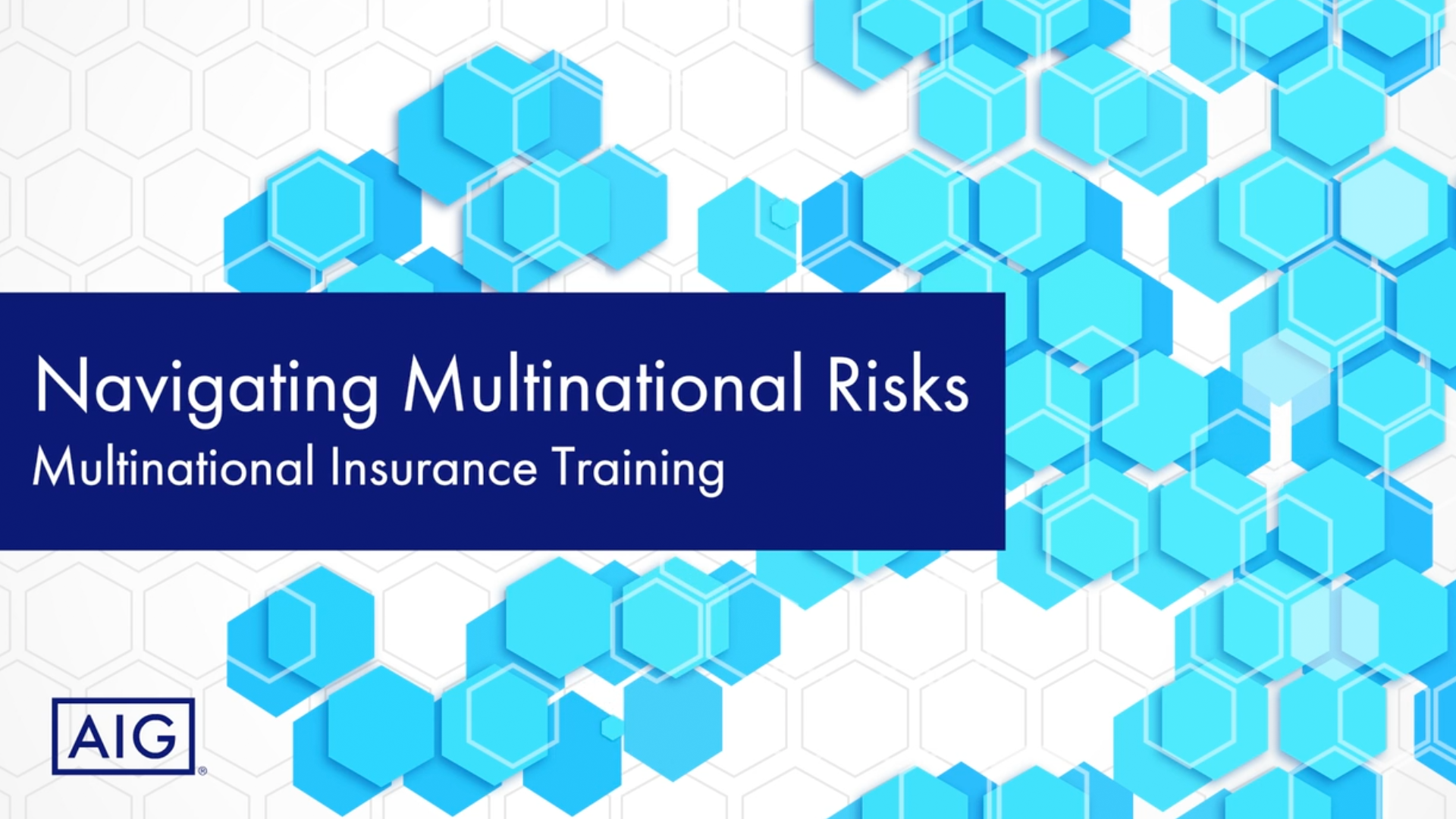 Navigating Multinational Risks: Multinational Insurance Training